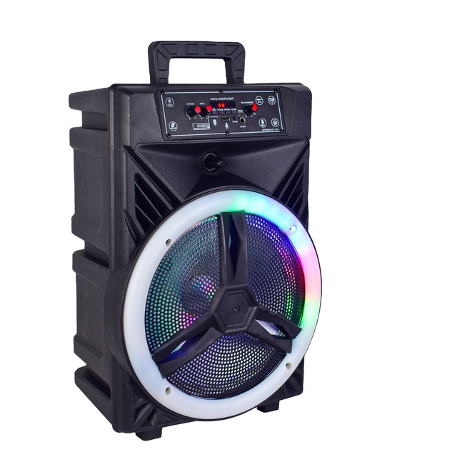 Professional Active 12" Wireless Portable Trolley Speaker Remote Control for Outdoor