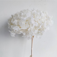 Bunga Hydrangea Asli Awet Alami Tangkai Tunggal, Bunga Kering Abadi untuk Dekorasi Wisuda, Pernikahan, Pesta, Rumah, Hadiah Ulang Tahun, dan Hari Valentine