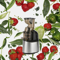 Roestvrijstalen Fruit Citrus Sinaasappel Afzuigmachine Blender Slow Juicer Commerciële Elektrische Koude, Langzame Verse Smoothie Voor Thuis