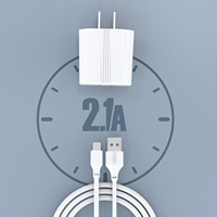 PZX adaptor cepat garansi 12 bulan kualitas tinggi colokan AS Universal 5V/2,1 A pengisi daya ponsel perjalanan Usb tunggal untuk iPhone