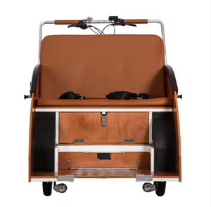 Vélo cargo électrique à assistance électrique pour adultes, avec moteur 36V 250W, tricycle à batterie au lithium et cadre en acier – Offre spéciale - Product Image 4