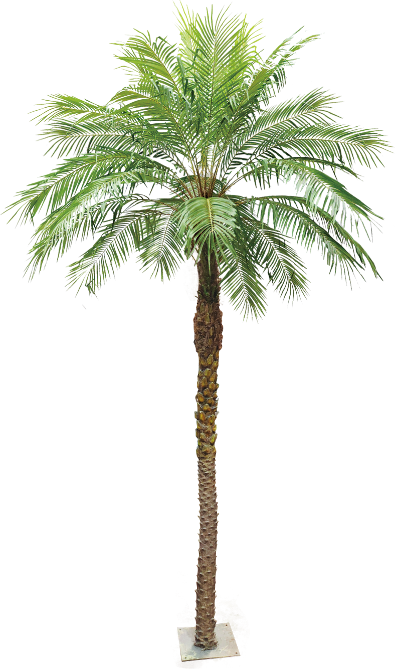 Phoenix Palm 350cm-polyester trunk