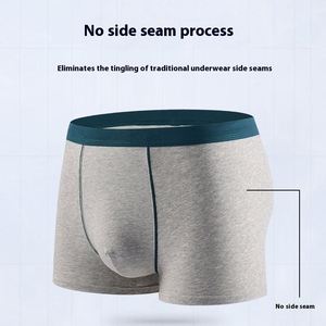 2025 New Arrival <b>Men's</b> Mid-Rise Quick-Dry Boxer Briefs Contrast Color Trunks Wide Elastic Waistband Soft <b>Mens</b> Underwear-ODM - Product Image 3
