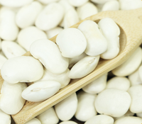 Haricots Blancs en Gros, Haricots Cannellini Riches en Protéines, Qualité Alimentaire, Vrac 25kg