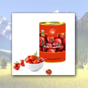 <span class=keywords><strong>Pomodoro</strong></span> a dadini in scatola pomodori 100% tritati di alta qualità in lattine facili da aprire con Brix 28%/30% e durata di conservazione di 2 anni per l'esportazione - Product Image 2