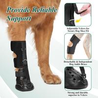 Attelle de cheville réglable pour chien avec semelle antidérapante, protecteur d'articulation de la cheville canine pour soulager l'arthrite et corriger la marche