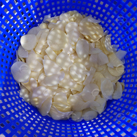 Panier tournant motorisé en acier inoxydable 304 pour fruits, légumes, chips, marque Hexu, garantie 1 an