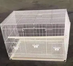 Grand Fil De Fer Enduit de Poudre Cage À Oiseaux et Gros Oiseaux Cages D'élevage