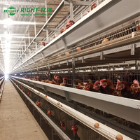 Cage à poulets économique de type A, 3 niveaux, 192 oiseaux, montage facile, alimentation semi-automatique, faible MOQ 10 ensembles, livraison rapide