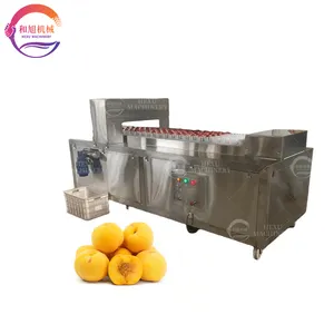 Good quality prune core remover machine fruit core pitting machine apricot pitting machine