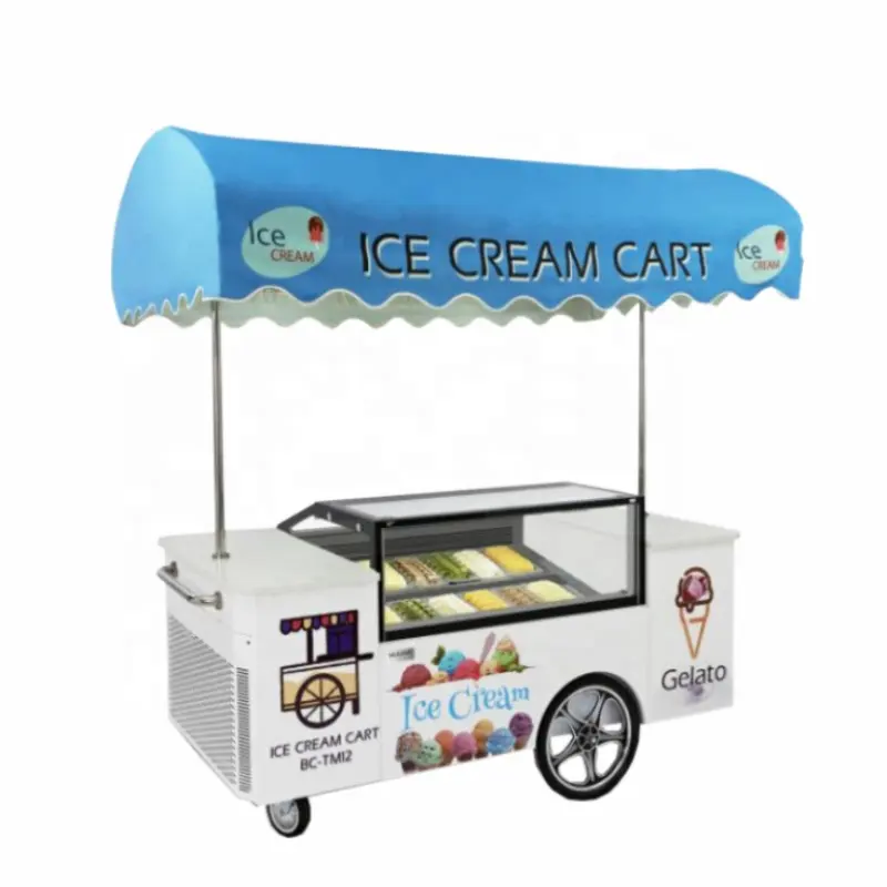 Shineho Camion De Helados Mobiele Vending Elektrische Ijs Slush Push Ijskar