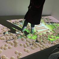 Lampe de projecteur interactive avec logiciel/système, attraction nocturne, jeu de projection interactif au sol