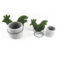 Petit pot de fleurs en ciment avec pot de fleurs en ciment pour oiseaux en rotin