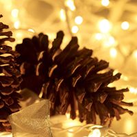 HISHINY 100 mini-lumières de Noël incandescentes transparentes, 21 pieds, fil blanc, certifiées pour intérieur/extérieur, décoration de mariage et de fêtes