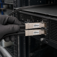 Câble de dérivation DAC passif à faible latence 400G OSFP vers 2x 200G QSFP56 pour cluster AI GPU HPC InfiniBand HDR