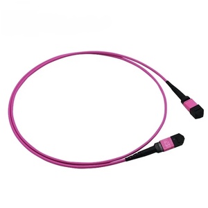 중국 최고의 맞춤형 10G OM3 MTP 광 패치 코드 MPO to MPO 트렁크 케이블 12 파이버 타입 B MPO 패치 코드 - Product Image 5