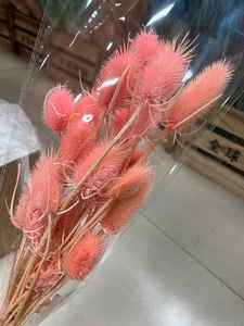 Tiges de chardon (Eryngium) séchées et préservées, fleurs séchées faites à la main, longue durée (3-5 ans), pour la fête des mères, la remise des diplômes, le Nouvel An - Product Image 6