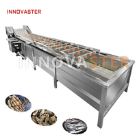 Offre spéciale commerciale ozone fruits et légumes laveuse nettoyage bulle carotte manioc pomme Machine à laver nettoyage de manioc