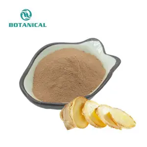 Herbal Extract Natural Grade Wholesale Ginger Root Extract Powder 10:1