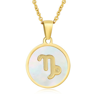 Bezoedelt Gratis Luxe Sieraden Astrologie 12 Dierenriem Ketting Rvs Titanium Stalen Ketting Hanger Kettingen - Product Image 5