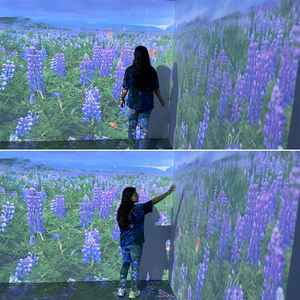 โฮโลแกรมเมอร์ในร่มสำหรับเด็ก3D ฉายภาพมหัศจรรย์แบบสมจริงเครื่องเล่นแบบโต้ตอบ - Product Image 4