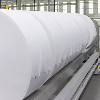 Tissu non tissé spunlace blanc biodégradable résistant à l'eau, 70-120 g/m², personnalisé en usine, pour la matière première des lingettes humides