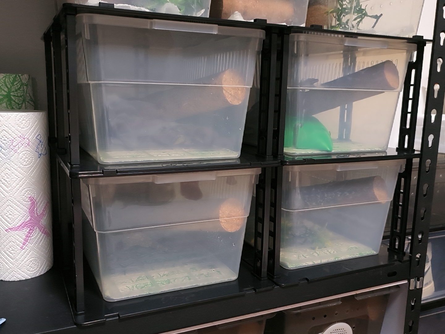 Reptile Snake Rack for Snake Cages & Breeding - ODM | Wholesale