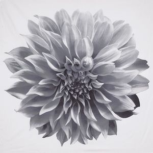 DB Modern 3D Floral Printed Cotton Cortina de ducha Impresión digital en PEVA Poliéster y plástico Juego de 4 piezas para hoteles - Product Image 4