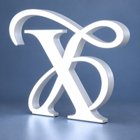 Enseigne lumineuse LED en acrylique étanche IP65, lettres en relief, personnalisable, en métal, acier inoxydable, transformateur inclus, pour usage en parc