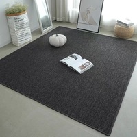 Tapis moderne à boucles en velours, ignifuge, antidérapant, écologique, imperméable, adapté aux animaux domestiques, pour voyages, camping, hôtel, épaisseur 4-5 mm, taille personnalisée
