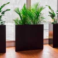 Pots à fleurs rectangulaires en métal au design moderne, élégant et simple, pour la décoration intérieure et la plantation de bonsaïs