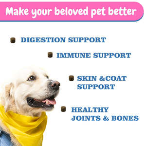 OEM 10 in 1 Multivitamin Soft Chews for Dogs & Cats-High-<b>Protein</b> Joint & Digestive Health 120 Count - Product Image 5
