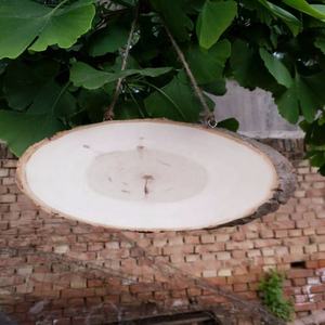 <strong>Personalised</strong> Hanging <strong>Wooden</strong> Slice <strong>Sign</strong> Natural Wood DIY Decorative Dices Model Hand-carved Engraving for Home Decor - Product Image 4