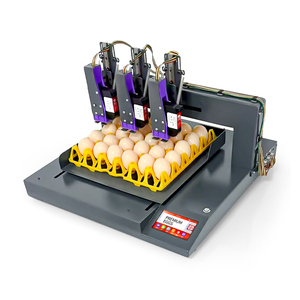 Stampante a getto d'inchiostro automatica intelligente ad alta efficienza per uova, testina XP600, risoluzione 600 DPI, codice QR e data per uova, inchiostro <span class=keywords><strong>commestibile</strong></span> portatile - Product Image 2