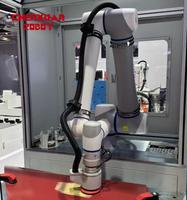 Robot collaboratif de polissage automatique, contrôle adaptatif entièrement automatique par IA, contrôle de force intégré pour le métal, le plastique et le bois