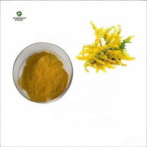 Sağlık takviyesi için % 100 saf doğal <span class=keywords><strong>Solidago</strong></span> <span class=keywords><strong>Virgaurea</strong></span> özü <span class=keywords><strong>Solidago</strong></span> Gigantea özü - Product Image 3