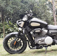 Modifan pour Benda Chinchilla 300 Accessoires Moto Cadre et Pièces de Carrosserie Vente en Gros Usine Accessoires Benda Moto