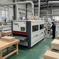 Machine industrielle de ponçage du bois, équipement de polissage à brosse pour le traitement des surfaces des meubles en bois massif et des panneaux de porte