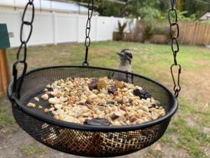 Подвесная кормушка для птиц, металлическая сетчатая кормушка для птиц, уличное садовое украшение для привлечения кормушки для птиц - Product Image 3