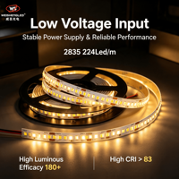 Bande LED flexible haute luminosité DC24V 224LEDs/m SMD2835, température de couleur 3000K-6000K, éclairage paysager à corps en cuivre.