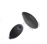 Vibromasseur Rechargeable en Silicone, pour femmes et adultes, 1 pièce, jouet sexuel, point G, culotte, télécommande, clitoris, noir, souple