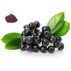Poudre d'extrait de fruit d'<span class=keywords><strong>aronia</strong></span> (polyphénol) de qualité alimentaire, extraction par solvant, en pot Mason, fût ou bouteille, fournie par une usine certifiée ISO - Product Image 3