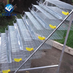 Gabbia automatiche per la raccolta di uova 200 per 600 gli uccelli Vendita calda in Malesia gabbie di quaglia per la produzione di uova - Product Image 2