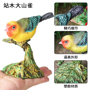 Juguete de simulación de animales sólidos para niños y coleccionistas, modelo de pájaro del familia Tityra, un regalo para la ciencia moderna de las aves. - Product Image 4