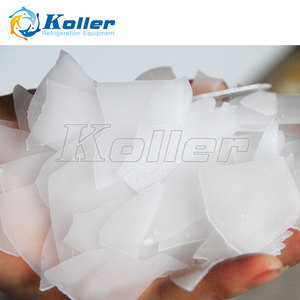 Machine a <span class=keywords><strong>Glace</strong></span> en Ecailles, Pure et sans <span class=keywords><strong>Glace</strong></span> <span class=keywords><strong>Pilee</strong></span> 2 Tonnes/jour avec Chambre Froide Koller - Product Image 3