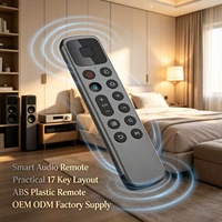Control Remoto de Audio para el Hogar JCXK de 17 Teclas, Control Remoto Inalámbrico de Plástico ABS para Sistema de Audio, Suministro de Fábrica Personalizado OEM ODM