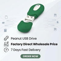 Flash Drive USB 2.0 Bentuk Kacang Plastik Custom 32GB/64GB Terenkripsi Logo Personal Hadiah Lucu Pendrive dengan Garansi 3 Tahun