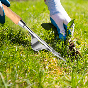 Vertak vườn weeder <span class=keywords><strong>taproot</strong></span> tay tay weeder thép không gỉ Weed Remover với ashtree gỗ xử lý - Product Image 6