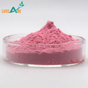 Melograno rosso polvere di melograno rosso di alta qualità polvere di succo di melograno per uso alimentare