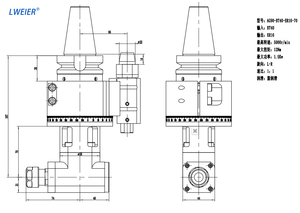 Cabezal Angular BT40 BT50 HSK63A HSK100A ISO para Fresado Lateral, Accesorio para Centro de Mecanizado, Venta Caliente - Product Image 6